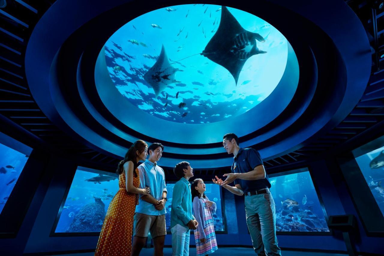 Resorts World Sentosa - Hotel Singapur Zewnętrze zdjęcie The Lost Chambers Aquarium