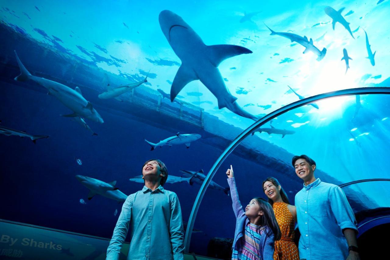 Resorts World Sentosa - Hotel Singapur Zewnętrze zdjęcie The Lost Chambers Aquarium