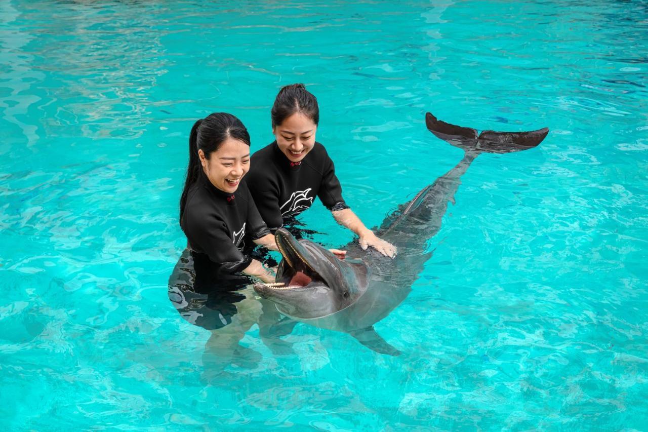 Resorts World Sentosa - Hotel Singapur Zewnętrze zdjęcie Dolphin show at SeaWorld