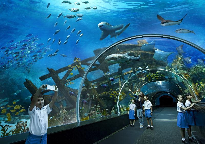 Resorts World Sentosa - Hotel Singapur Zewnętrze zdjęcie Sea Life Sydney Aquarium