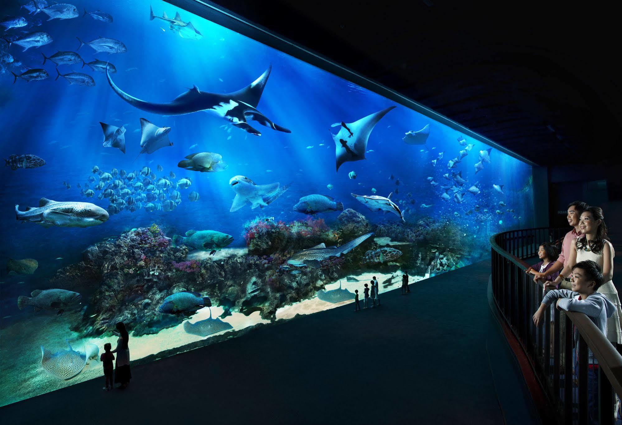 Resorts World Sentosa - Hotel Singapur Zewnętrze zdjęcie The open ocean exhibit